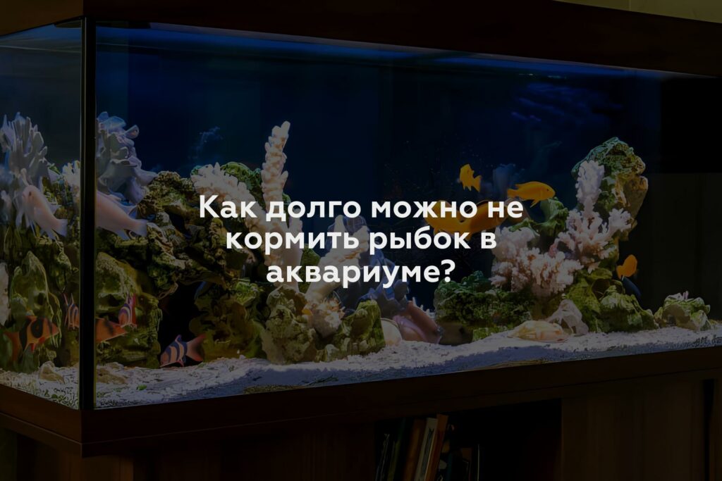 Как долго можно не кормить рыбок в аквариуме?