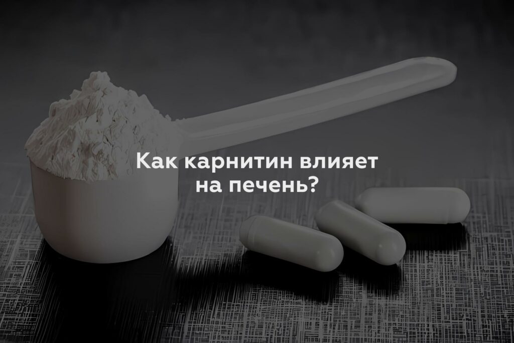 Как карнитин влияет на печень?