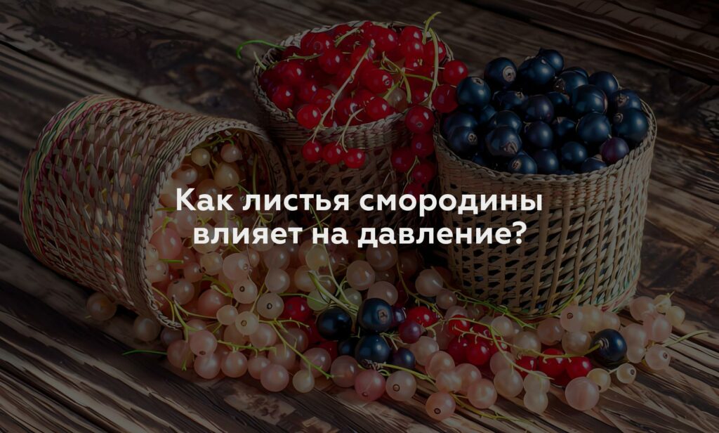 Как листья смородины влияет на давление?