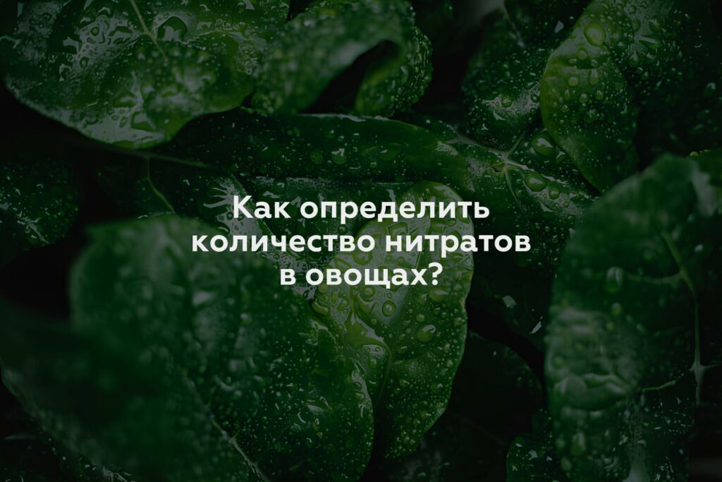 Как определить количество нитратов в овощах?