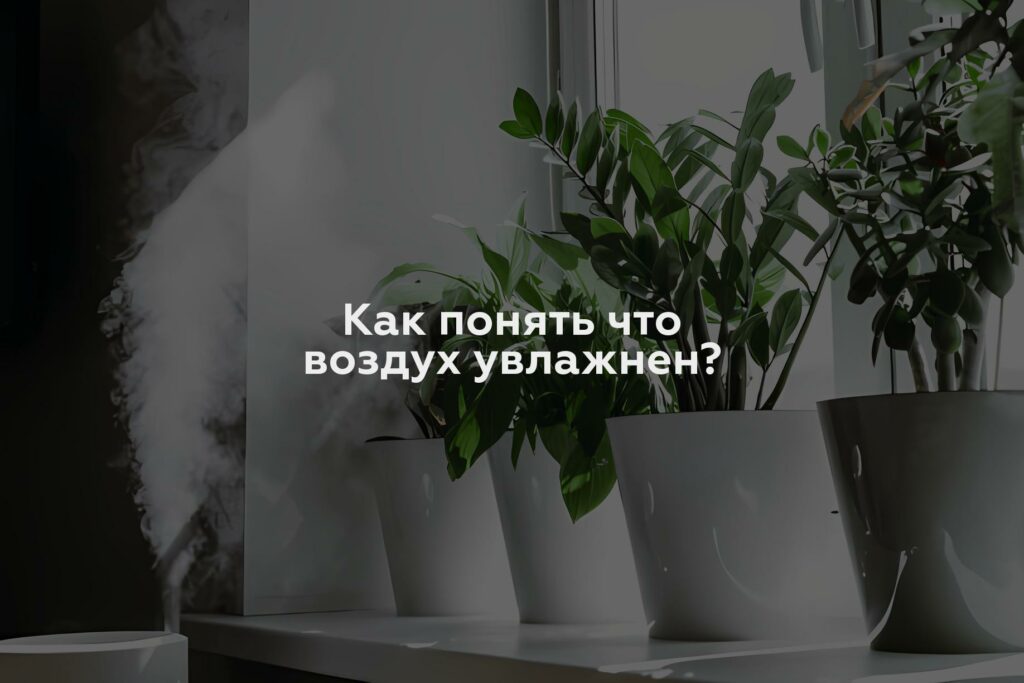 Как понять что воздух увлажнен?