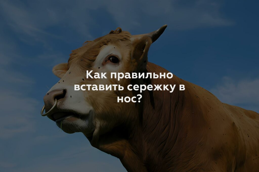 Как правильно вставить сережку в нос?