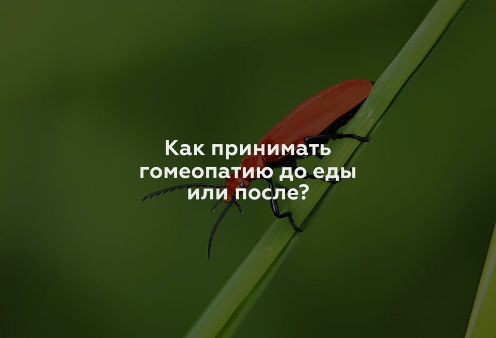 Как принимать гомеопатию до еды или после?