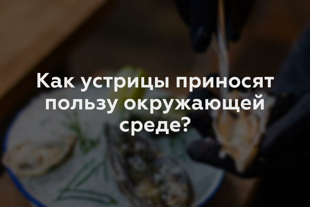 Как устрицы приносят пользу окружающей среде?