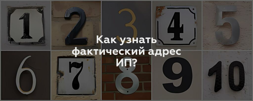 Как узнать фактический адрес ИП?