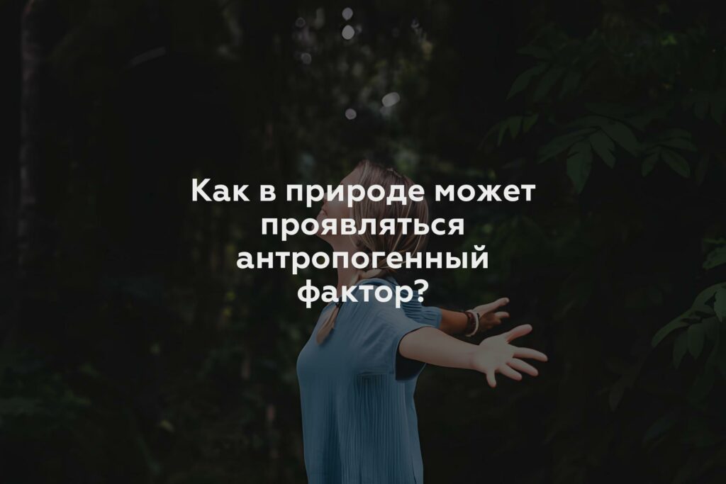 Как в природе может проявляться антропогенный фактор?