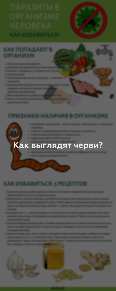 Как выглядят черви?