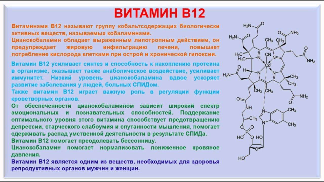 Какая польза от витамина Б?