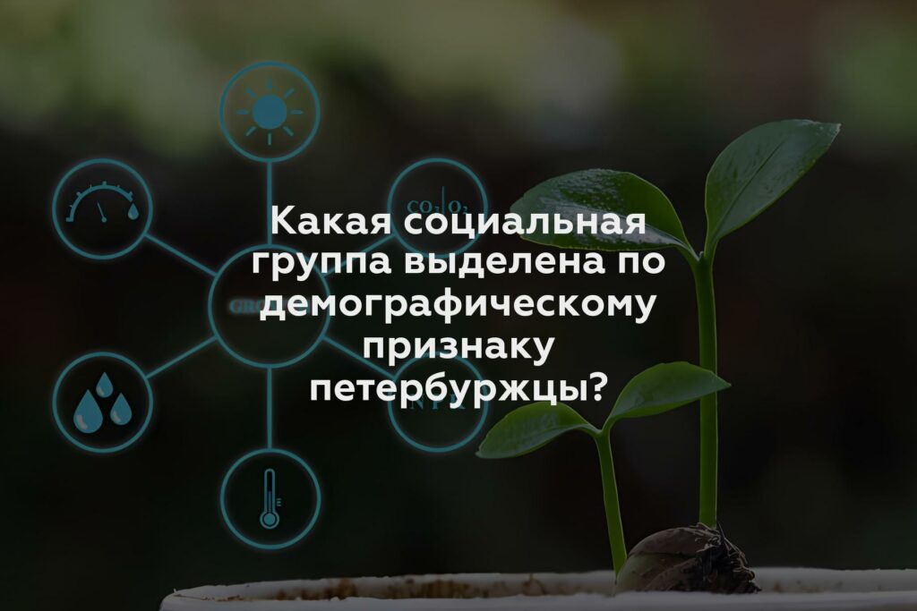 Какая социальная группа выделена по демографическому признаку петербуржцы?