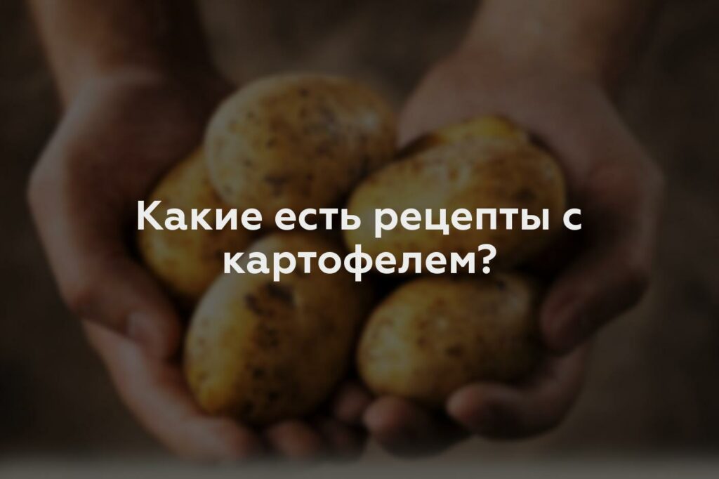 Какие есть рецепты с картофелем?