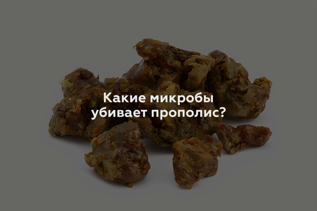 Какие микробы убивает прополис?