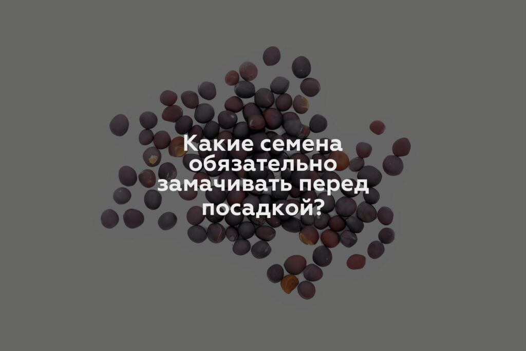 Какие семена обязательно замачивать перед посадкой?