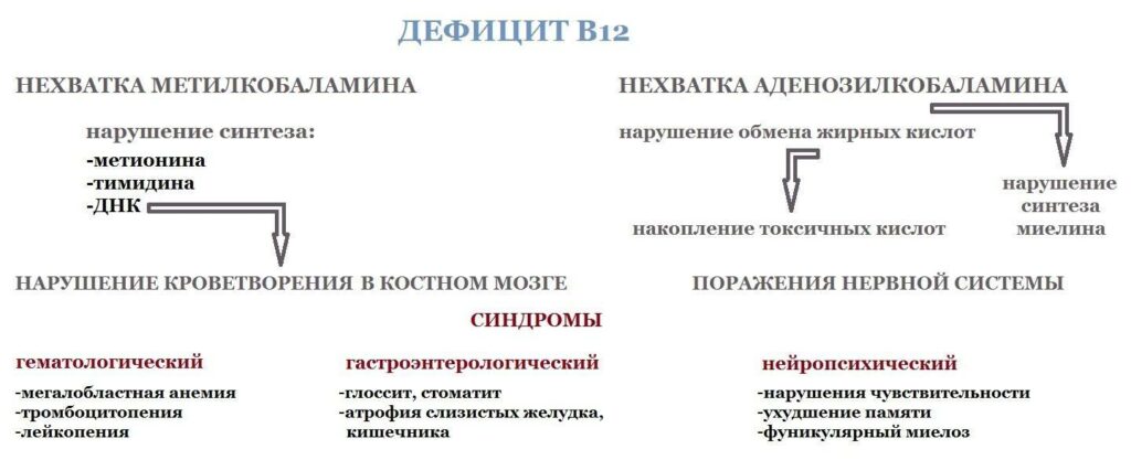 Какие симптомы при нехватке витамина B12?