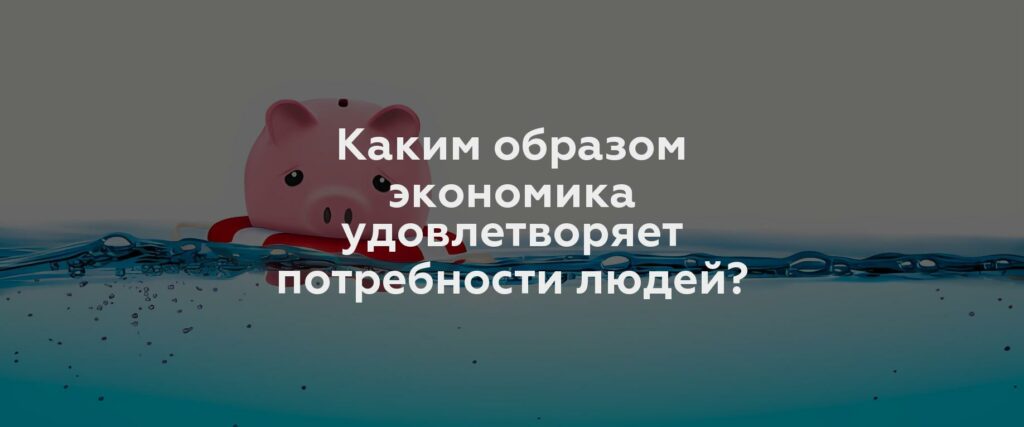 Каким образом экономика удовлетворяет потребности людей?