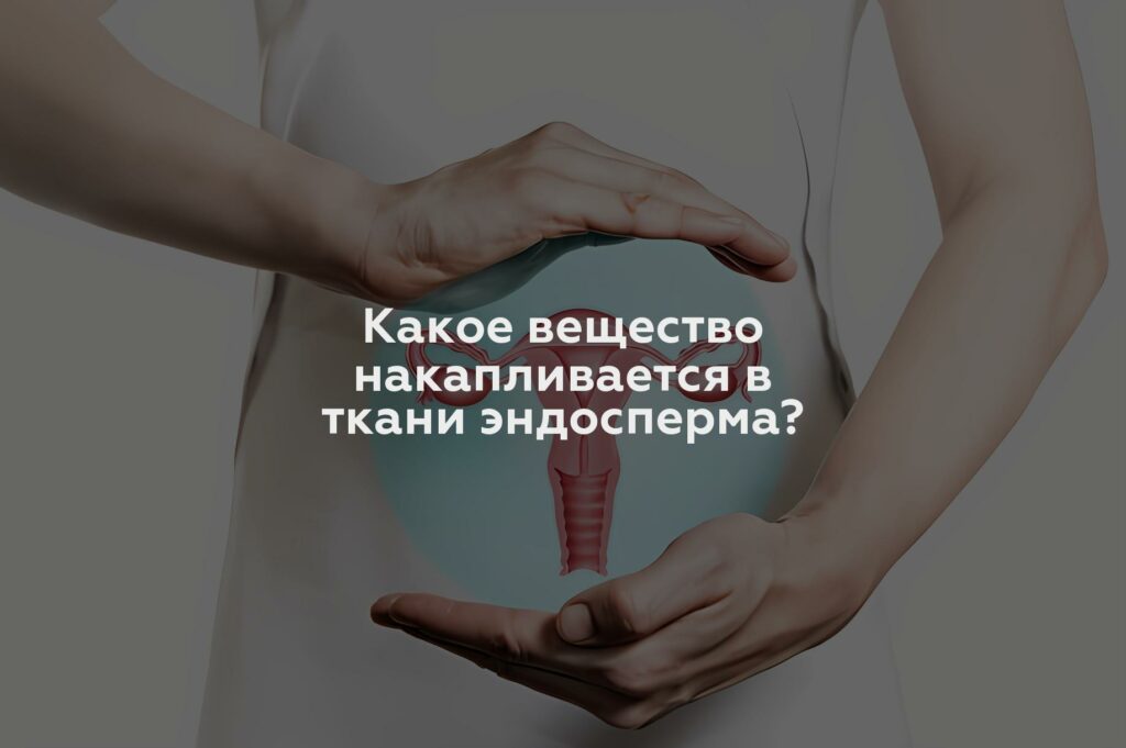 Какое вещество накапливается в ткани эндосперма?