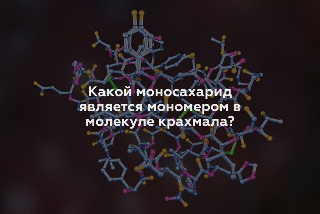 Какой моносахарид является мономером в молекуле крахмала?