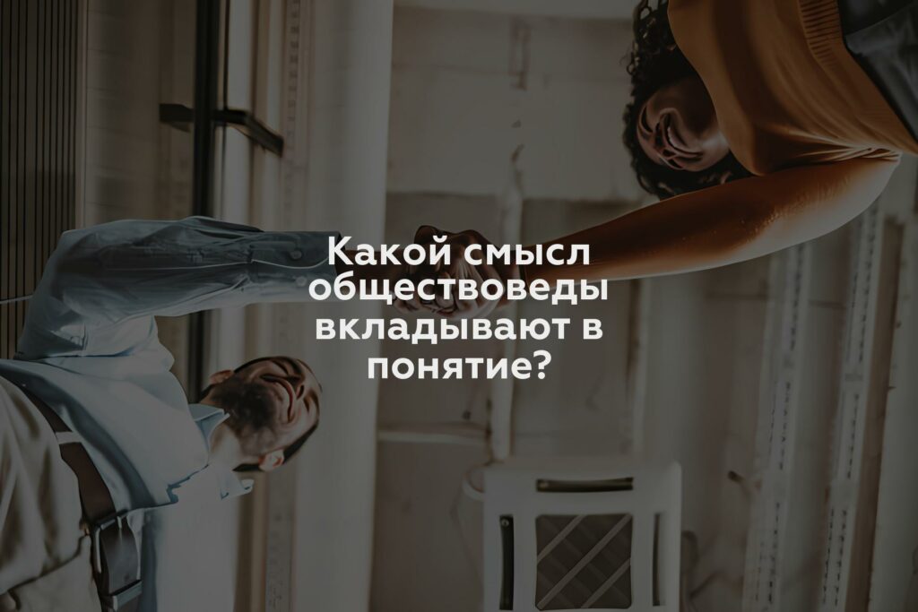 Какой смысл обществоведы вкладывают в понятие?