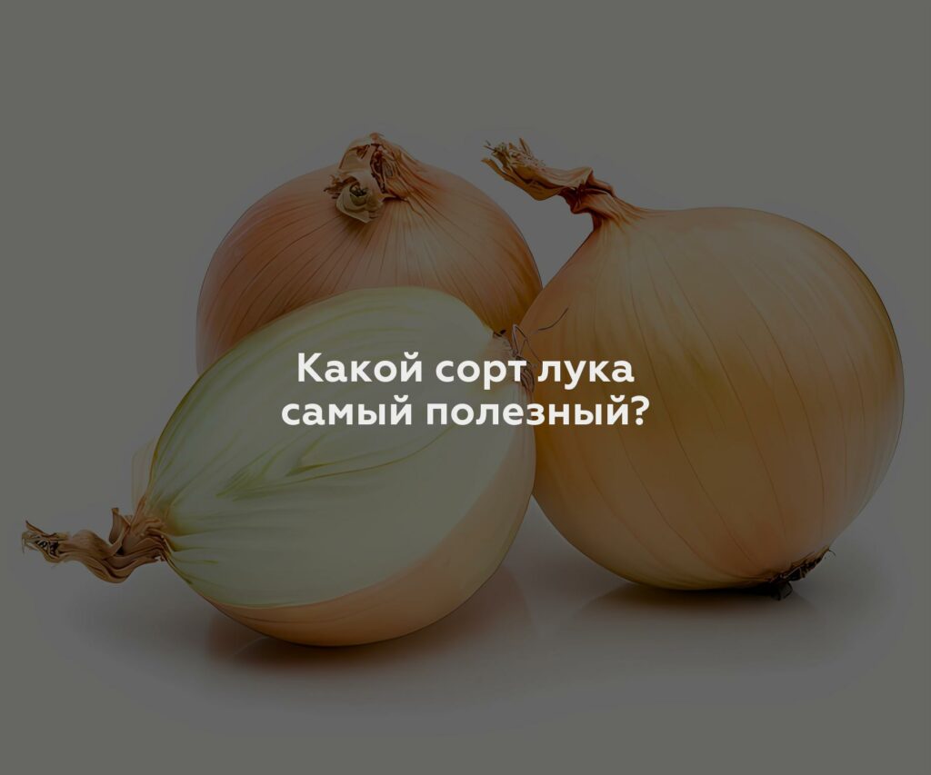 Какой сорт лука самый полезный?