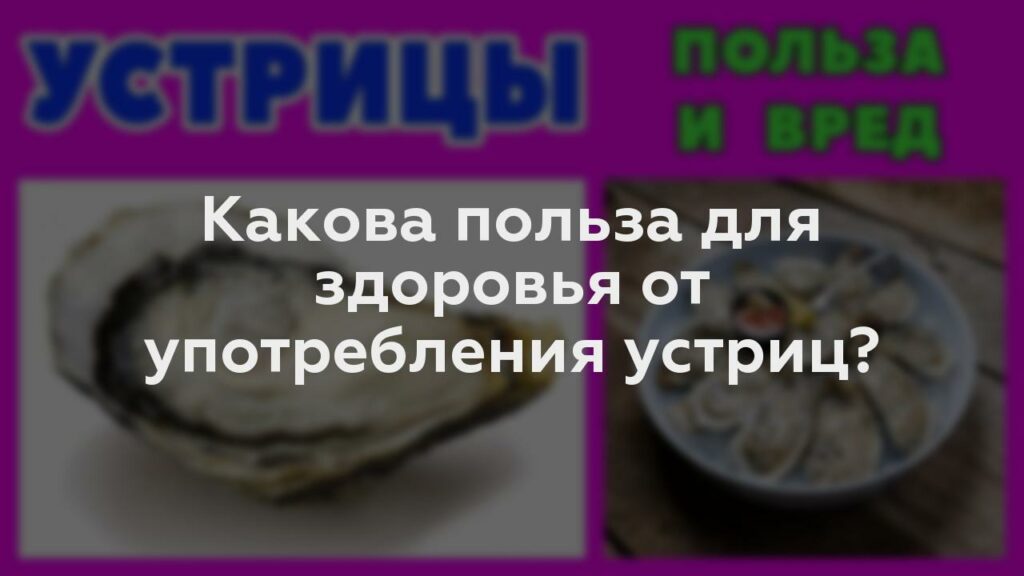 Какова польза для здоровья от употребления устриц?