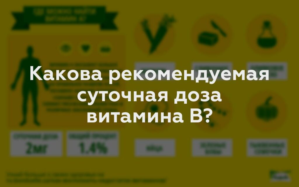 Какова рекомендуемая суточная доза витамина B?