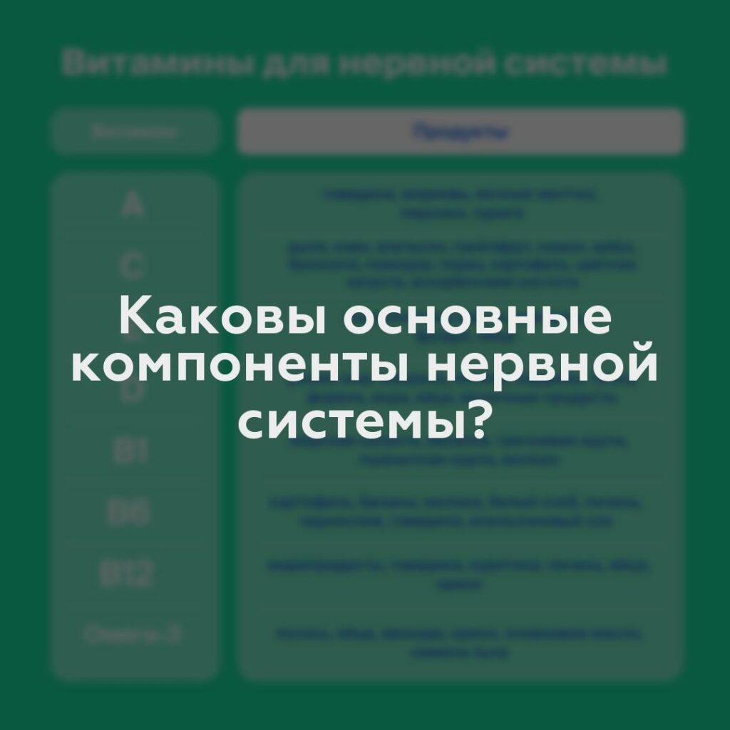 Каковы основные компоненты нервной системы?