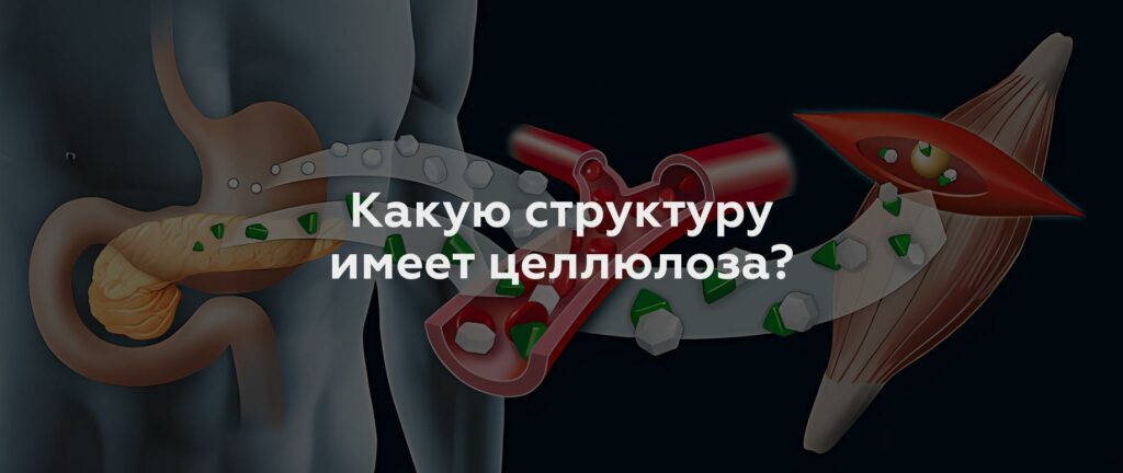 Какую структуру имеет целлюлоза?