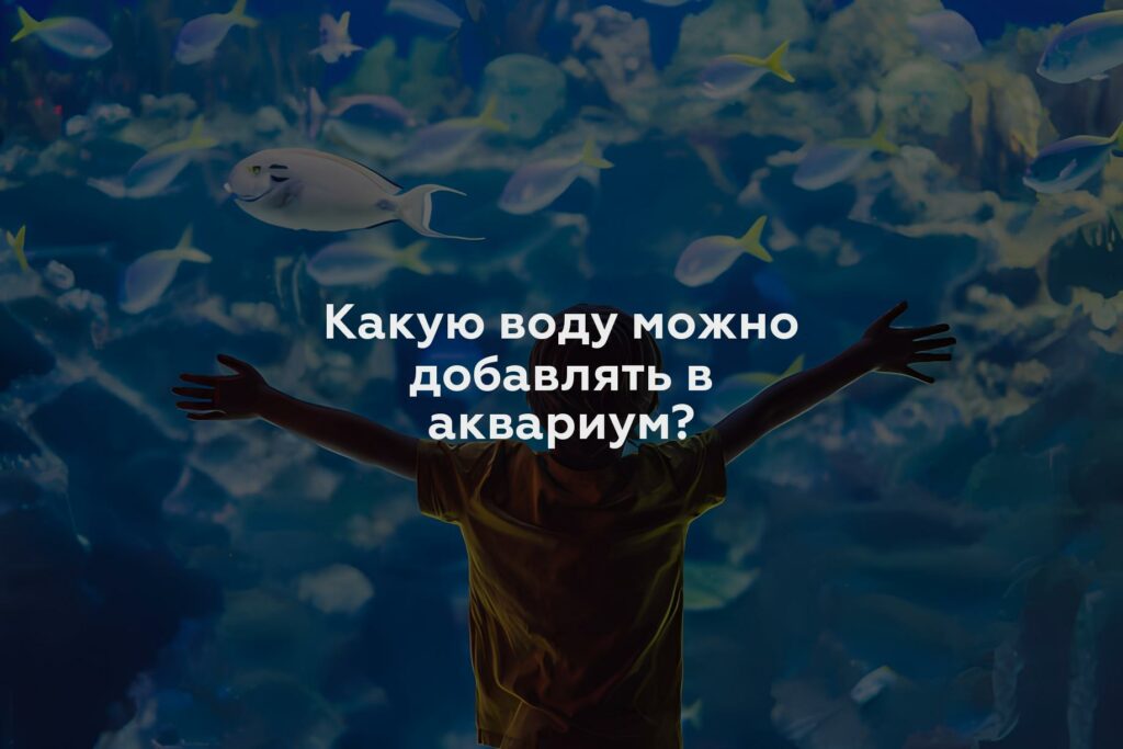 Какую воду можно добавлять в аквариум?