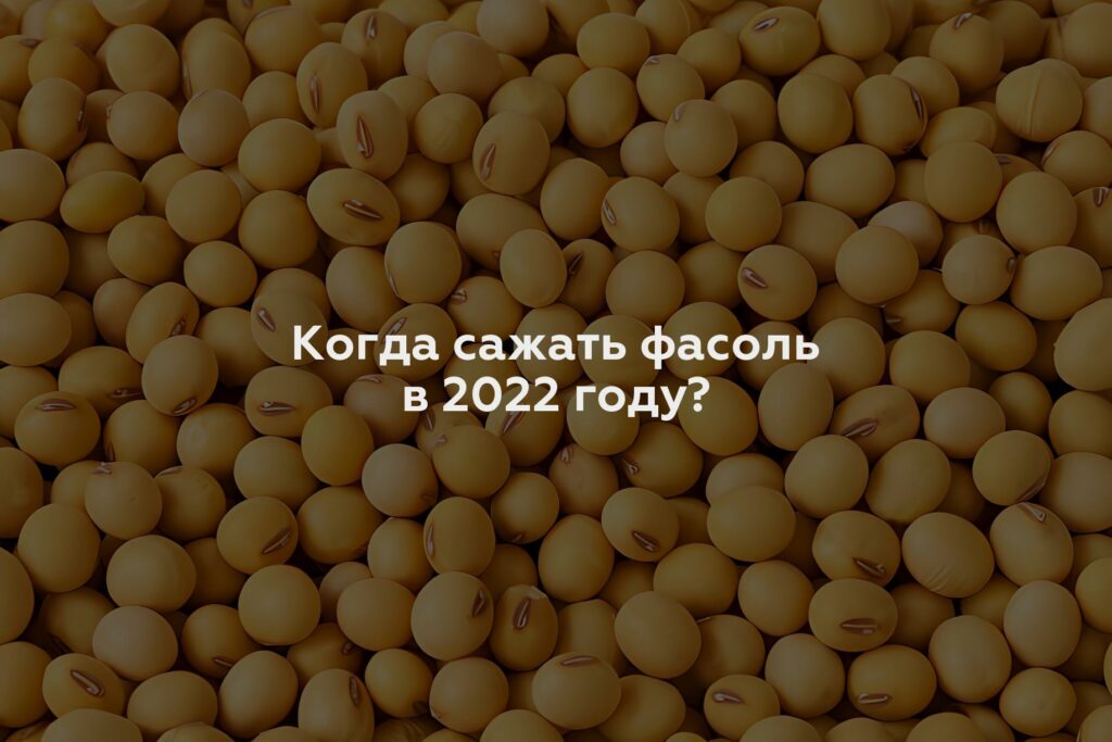 Когда сажать фасоль в 2022 году?