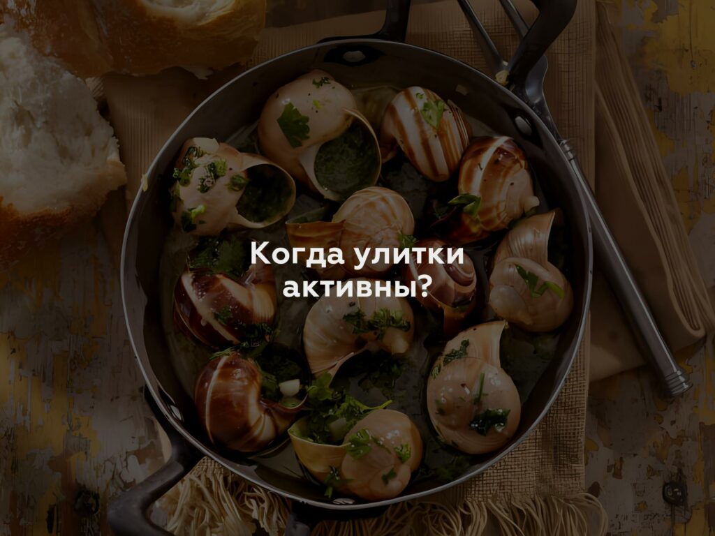 Когда улитки активны?