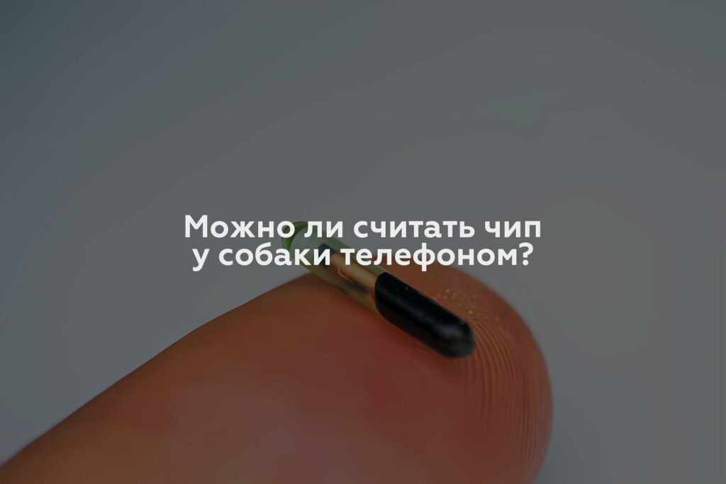 Можно ли считать чип у собаки телефоном?