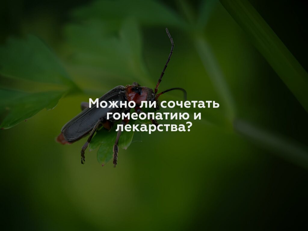 Можно ли сочетать гомеопатию и лекарства?