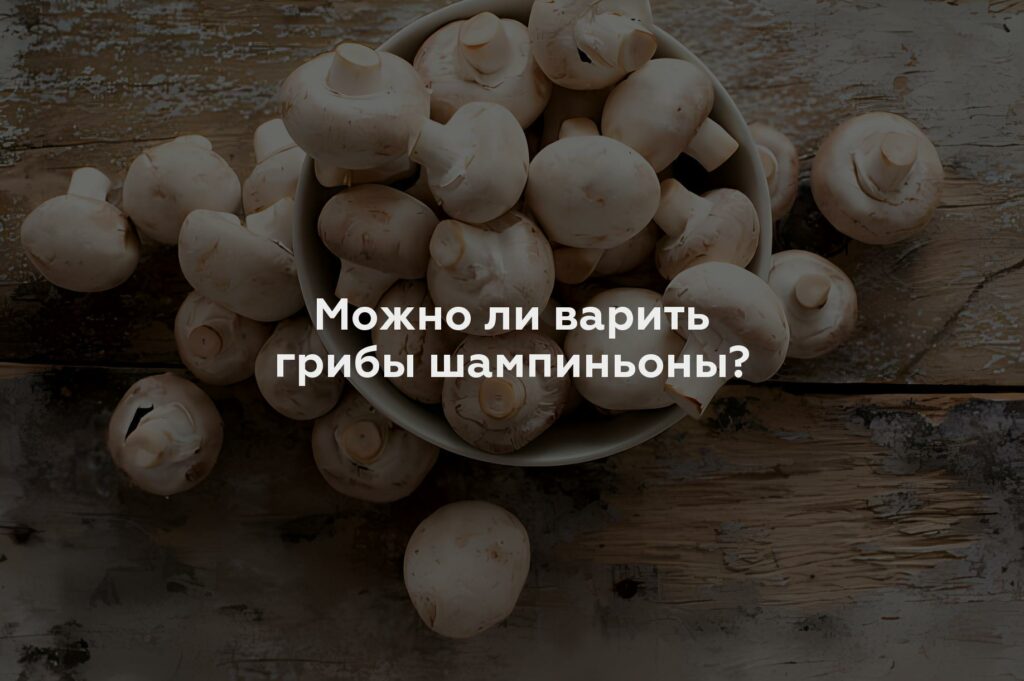 Можно ли варить грибы шампиньоны?