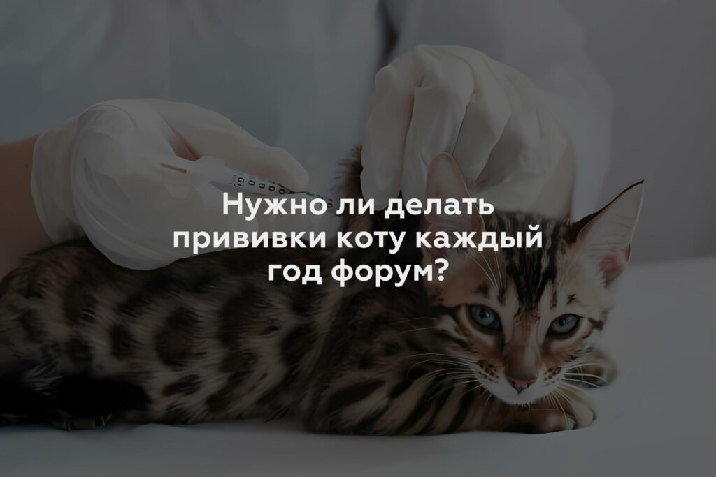 Нужно ли делать прививки коту каждый год форум?