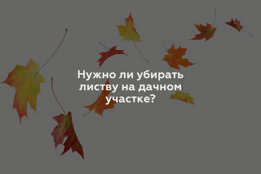 Нужно ли убирать листву на дачном участке?