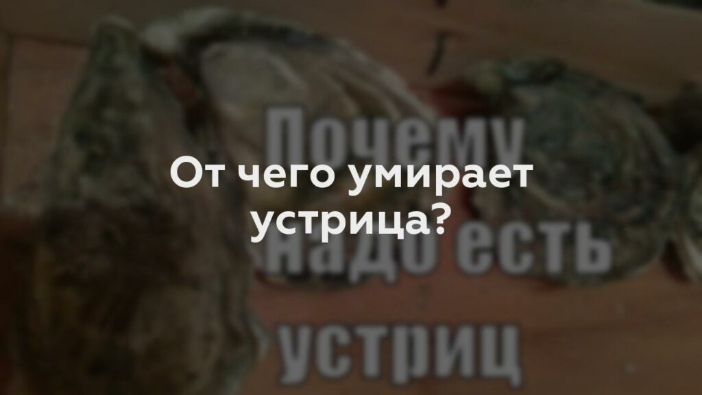 От чего умирает устрица?