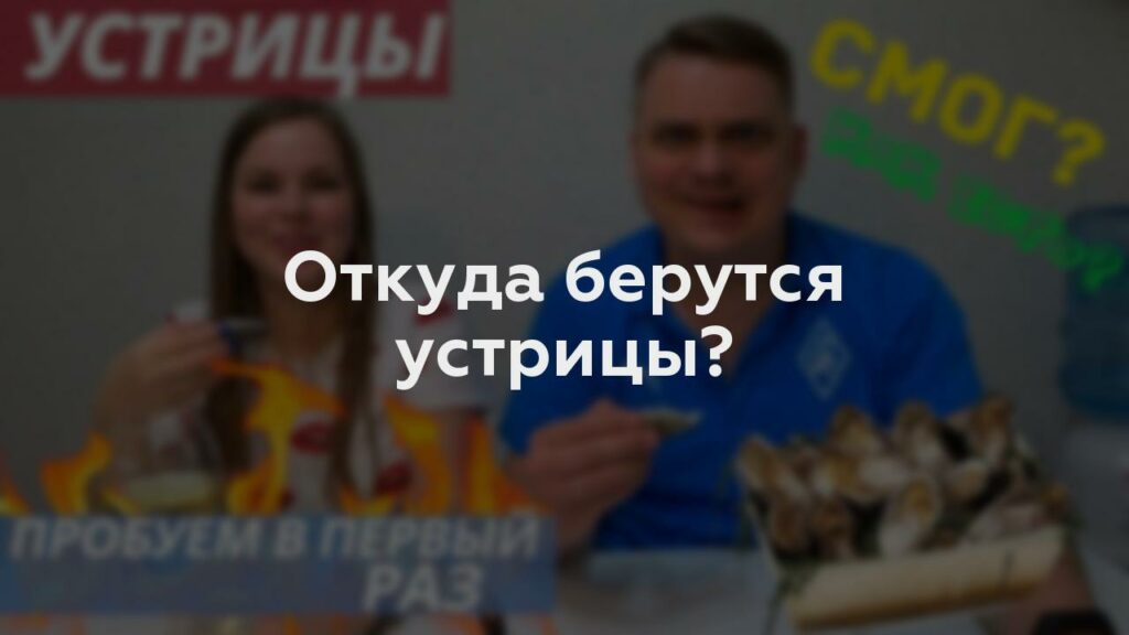 Откуда берутся устрицы?