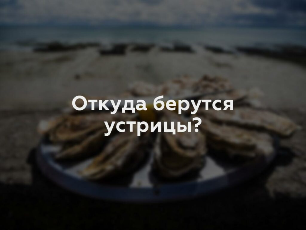 Откуда берутся устрицы?