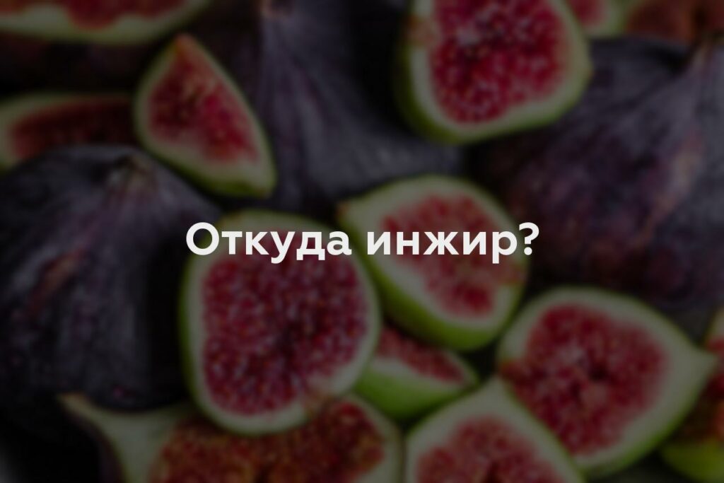 Откуда инжир?