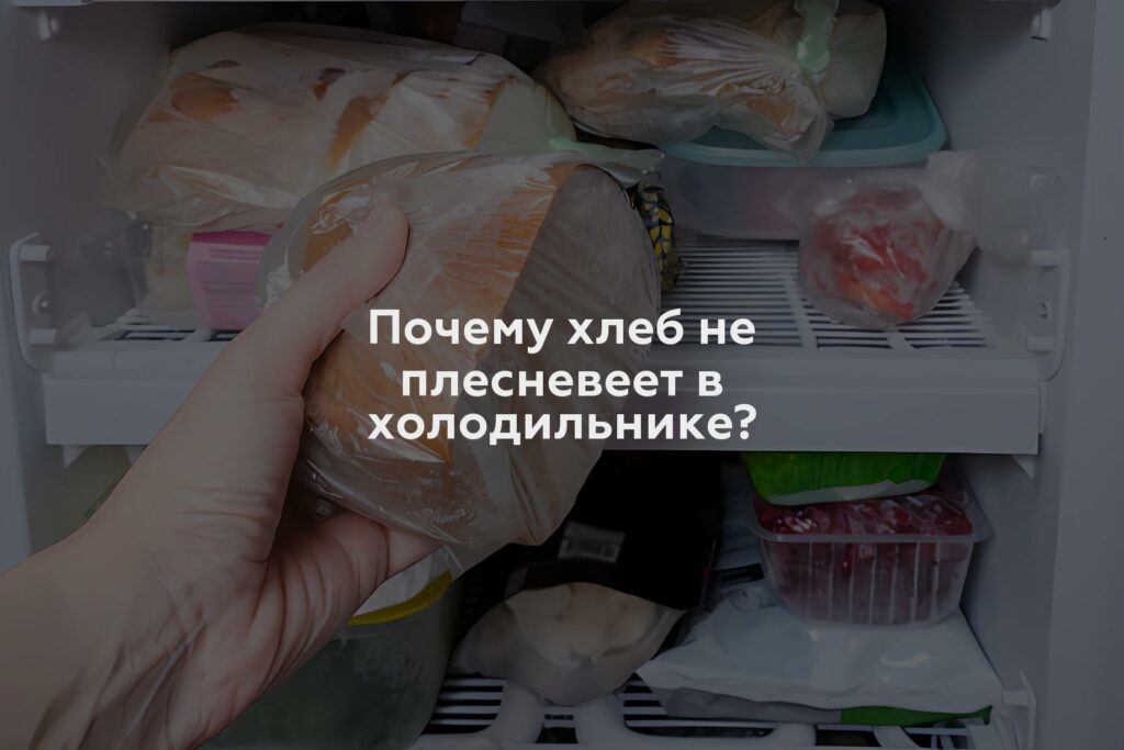 Почему хлеб не плесневеет в холодильнике?