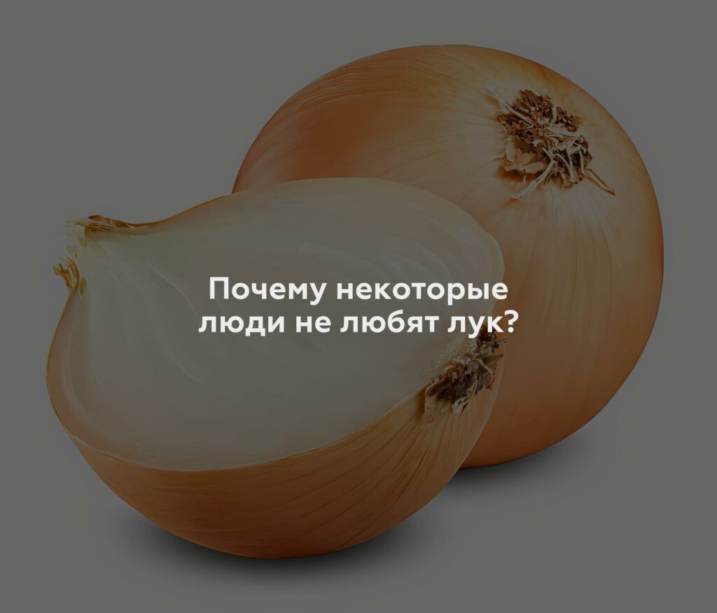 Почему некоторые люди не любят лук?