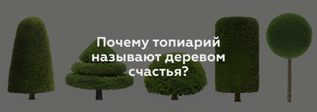 Почему топиарий называют деревом счастья?