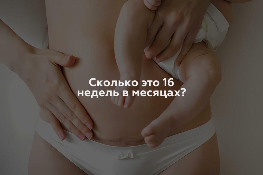 Сколько это 16 недель в месяцах?