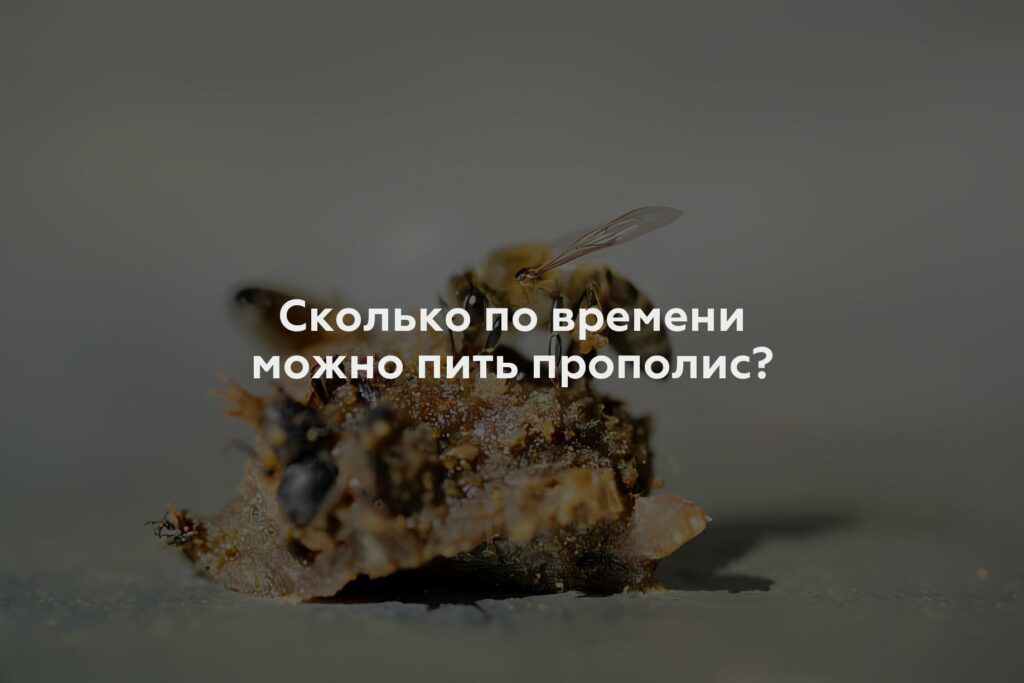 Сколько по времени можно пить прополис?