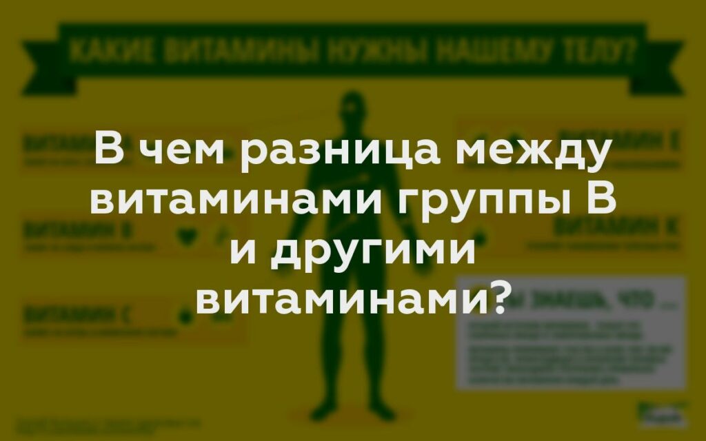 В чем разница между витаминами группы В и другими витаминами?