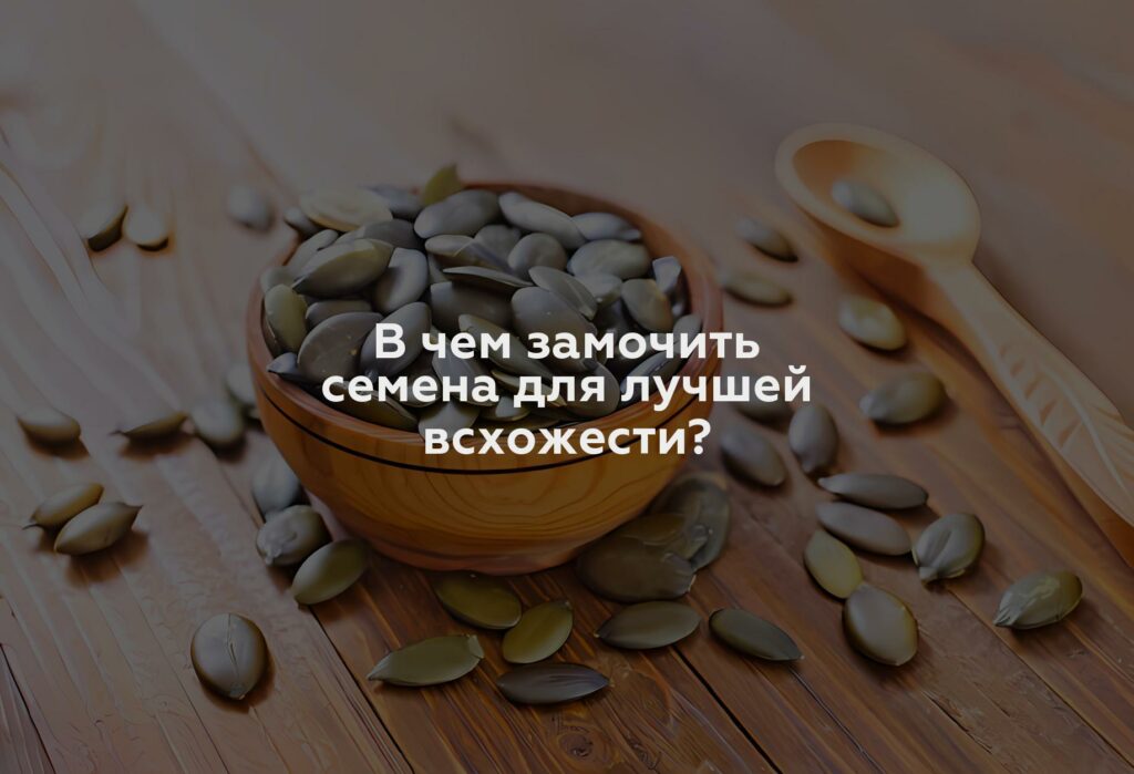 В чем замочить семена для лучшей всхожести?