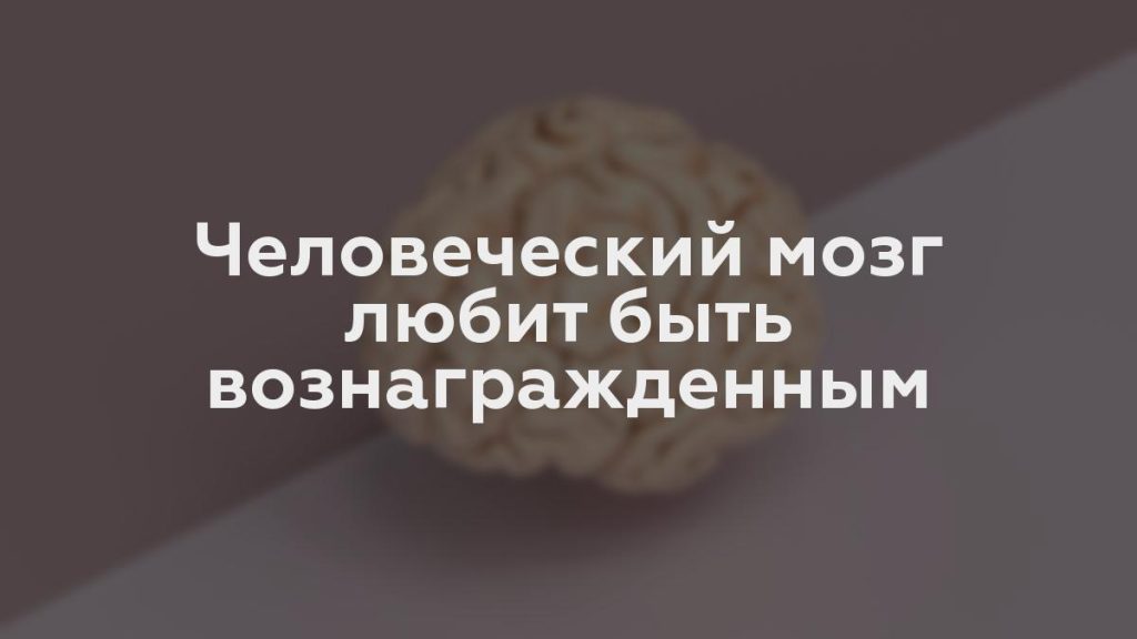 Человеческий мозг любит быть вознагражденным