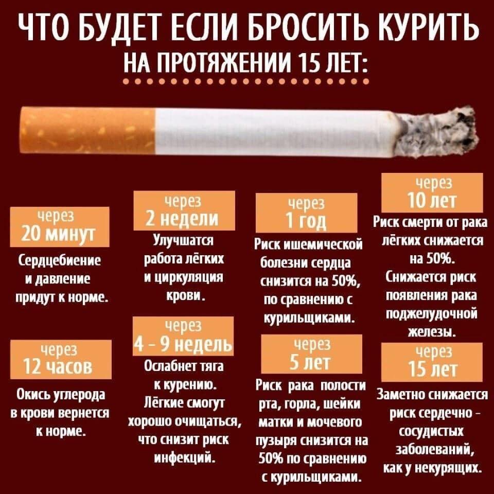 Что будет если курить 1 год?