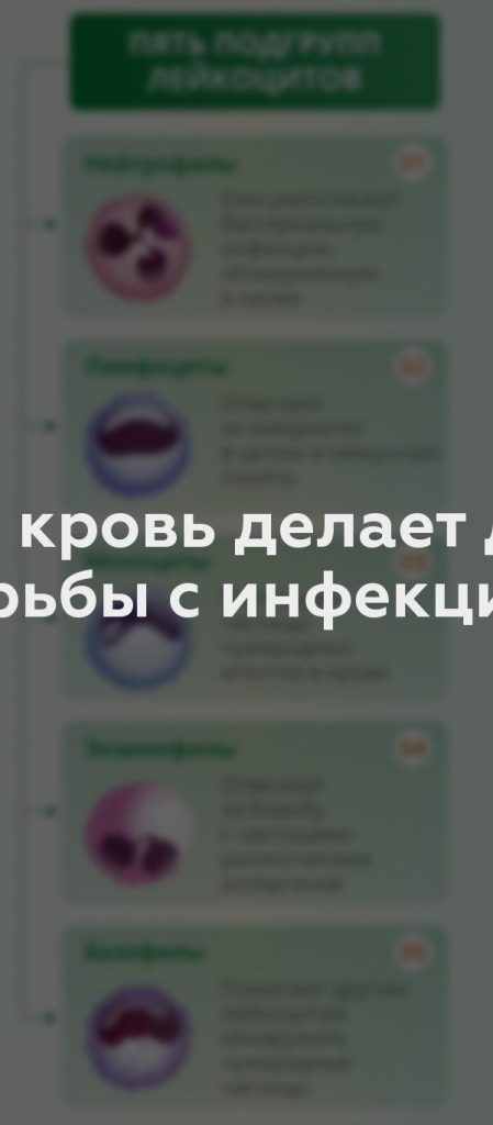 Что кровь делает для борьбы с инфекцией