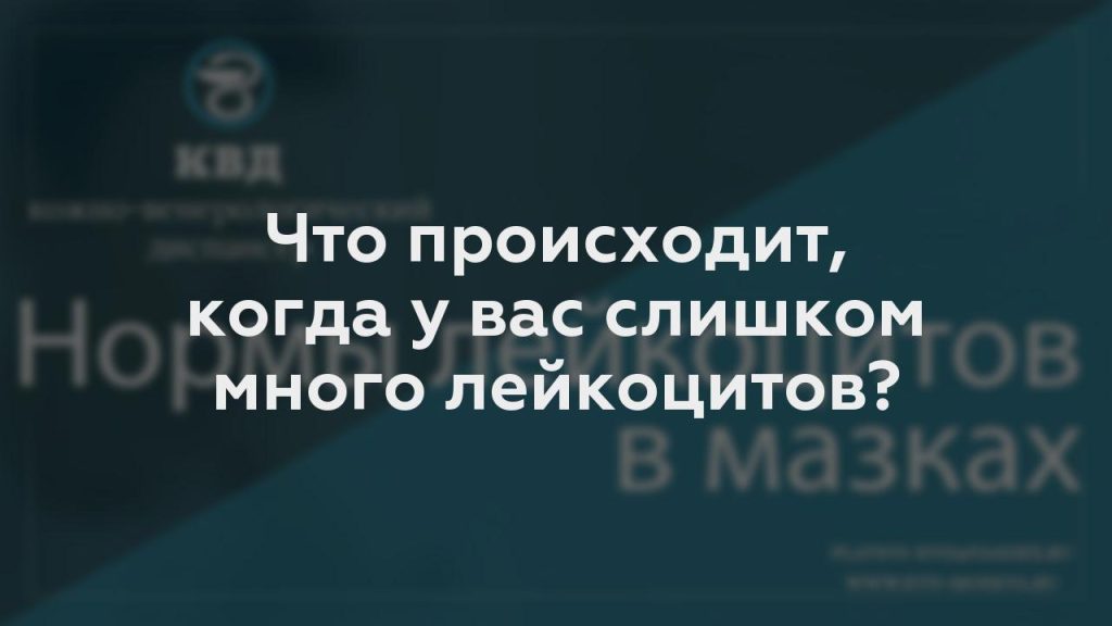 Что происходит, когда у вас слишком много лейкоцитов?