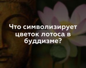 Что символизирует цветок лотоса в буддизме?